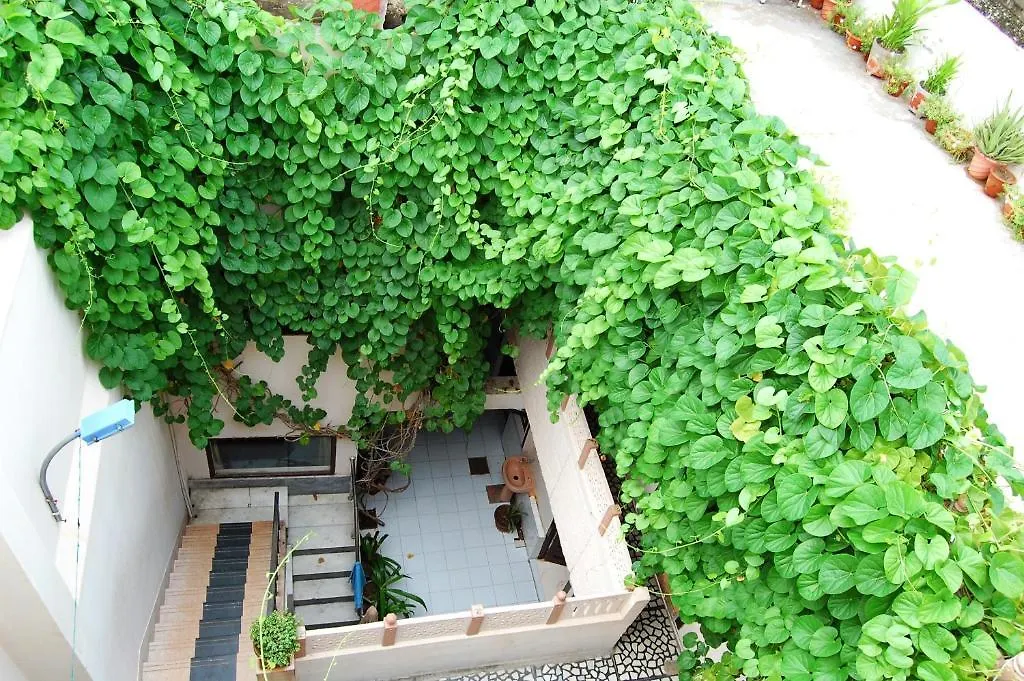 Hotel Sai Palace Walking Distance From Taj Mahal--View Of Taj Mahal Agra