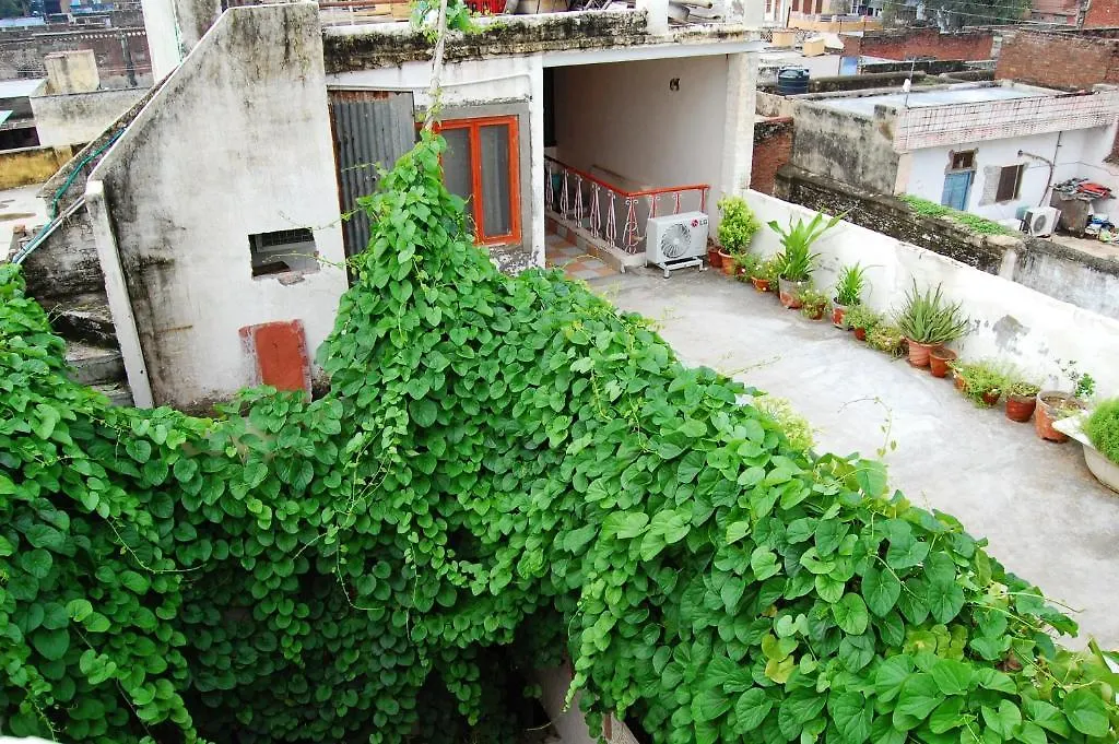 Hotel Sai Palace Walking Distance From Taj Mahal--View Of Taj Mahal Agra  Inde